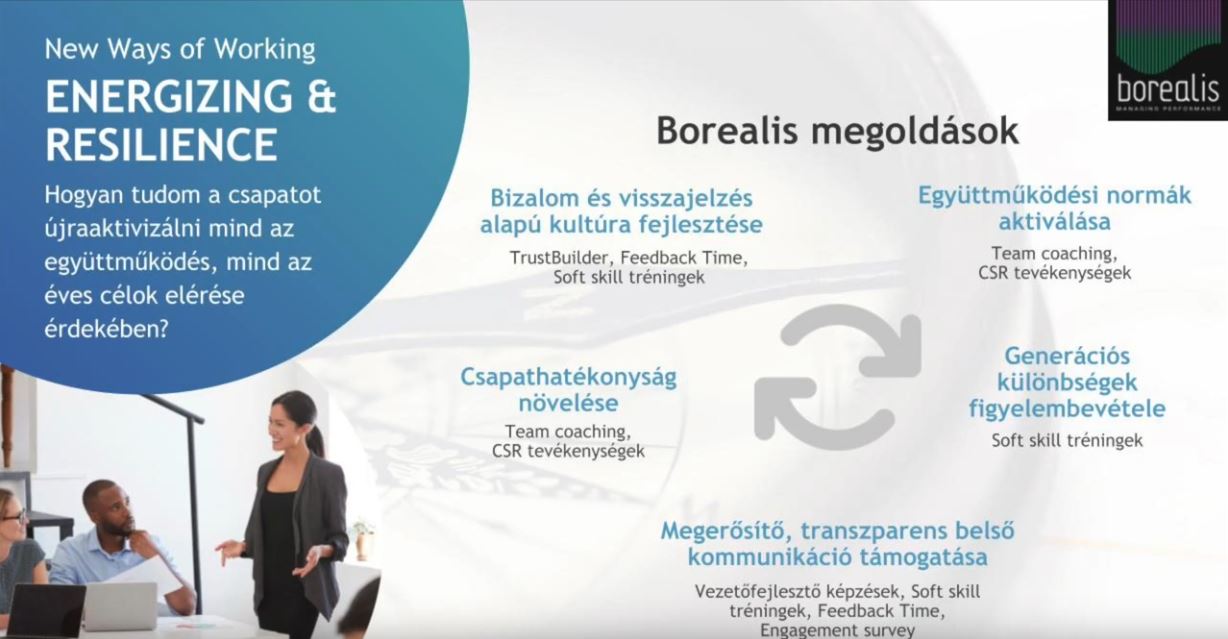 Borealis Consulting New ways of working 5. Energizing, Inspiration, Resilience