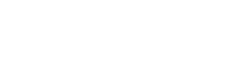 AI Mastery – Powered by BDO Digital